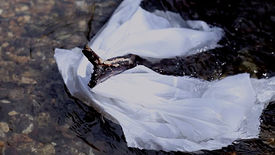 palmer//harding SS14 Teaser